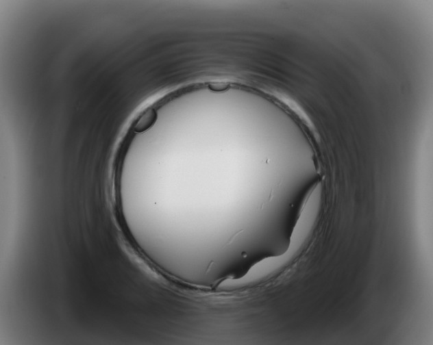 X0000086301080200704201938