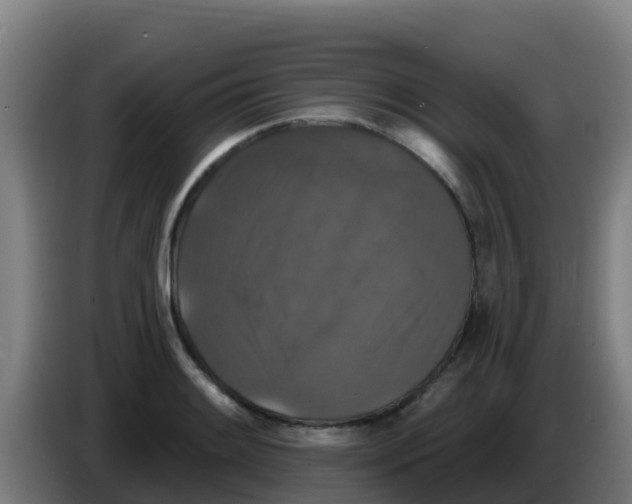 X0000086301084200704201938