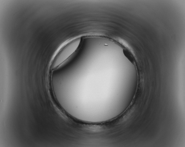 X0000086301085200704201938