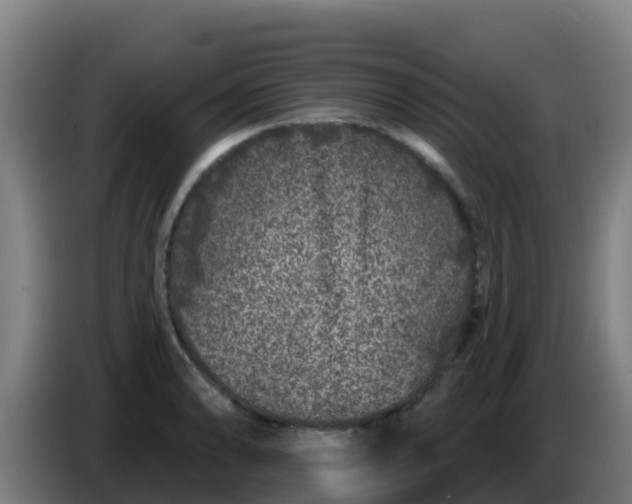 X0000086301086200704201938