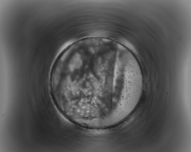 X0000086301087200704201938