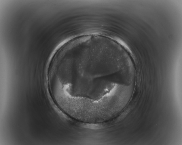 X0000086301088200704201938