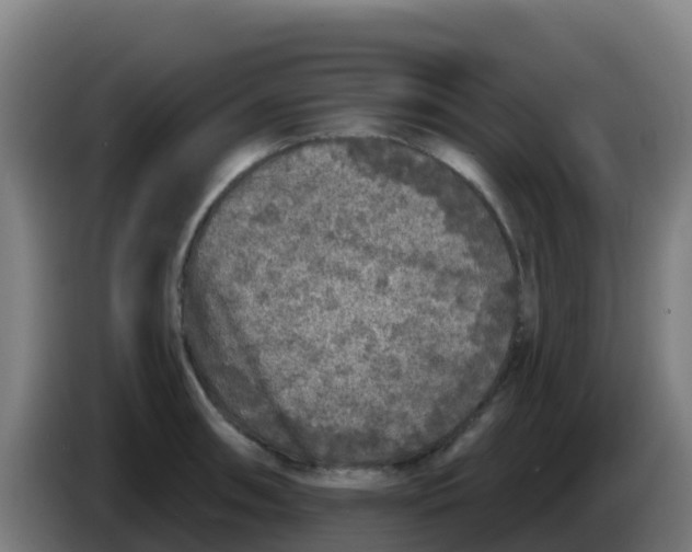 X0000086301090200704201938