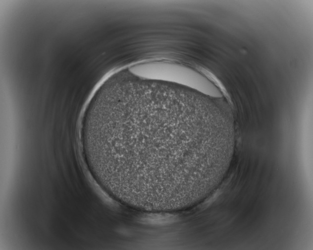 X0000086301091200704201938