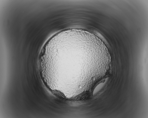 X0000086301092200704201938