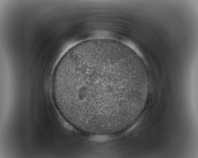 X0000086301094200704201938