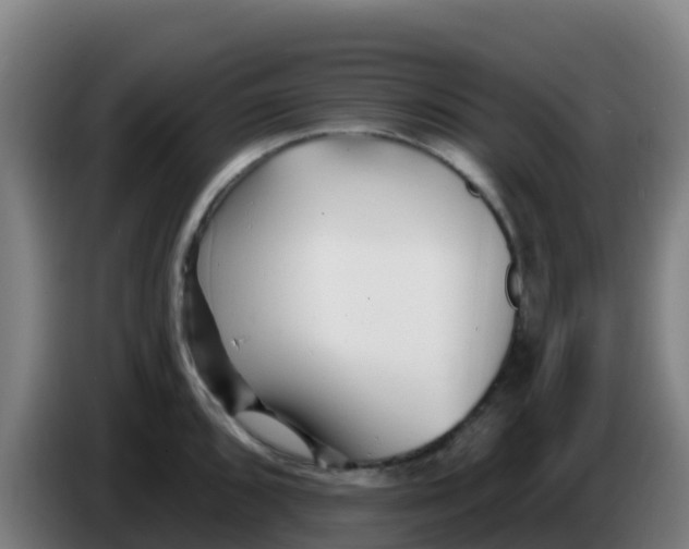 X0000086301096200704201937