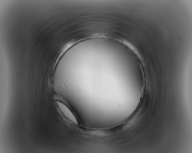 X0000086301097200704201937