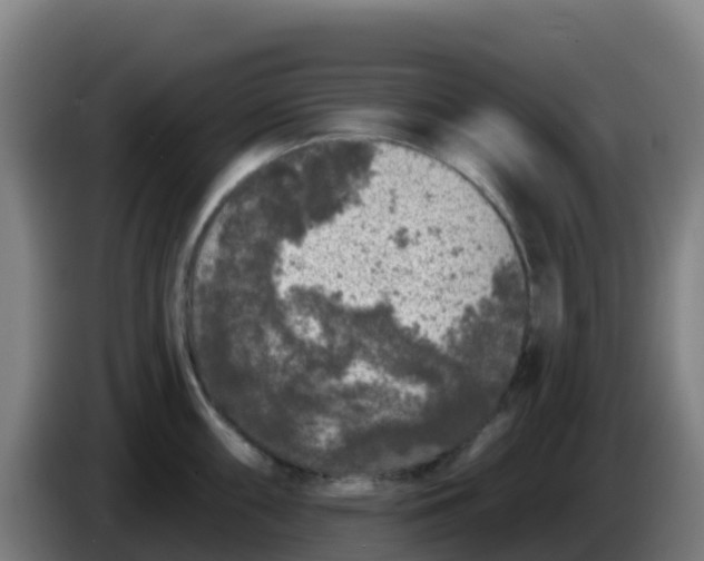 X0000086301098200704201937