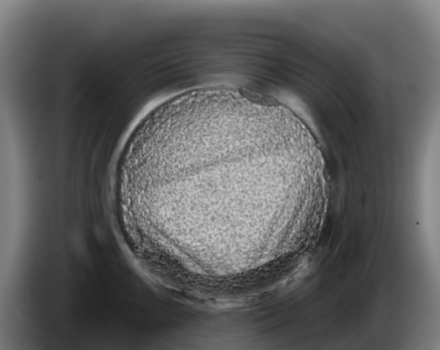 X0000086301099200704201937