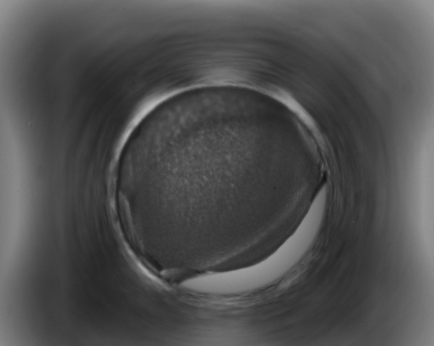 X0000086301102200704201937