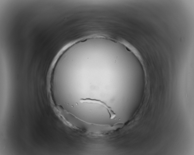 X0000086301104200704201937