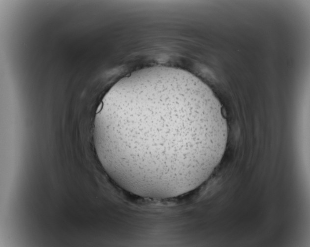 X0000086301105200704201937