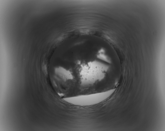 X0000086301106200704201937