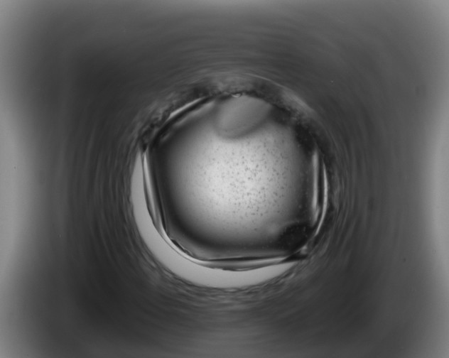 X0000086301108200704201937