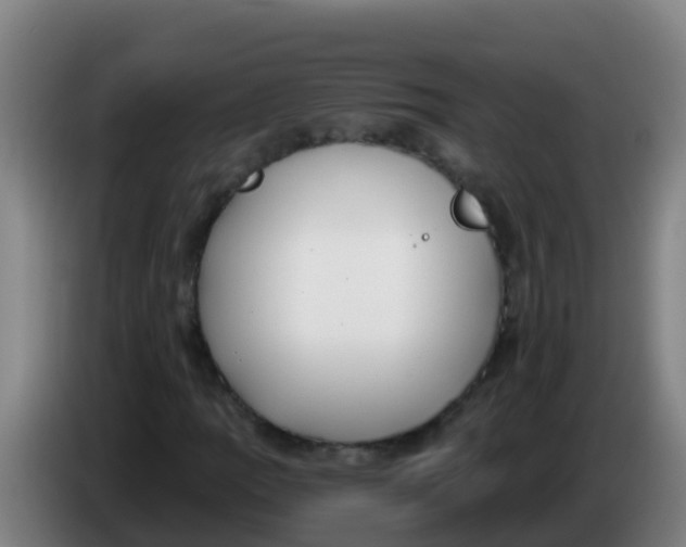 X0000086301109200704201937