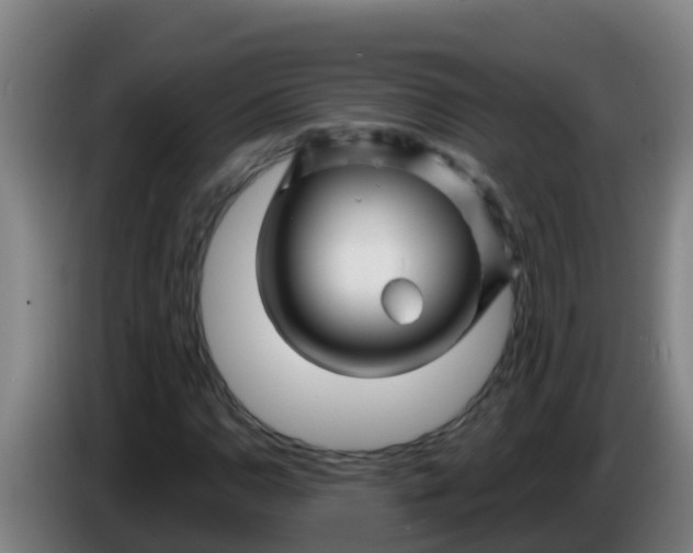 X0000086301110200704201937