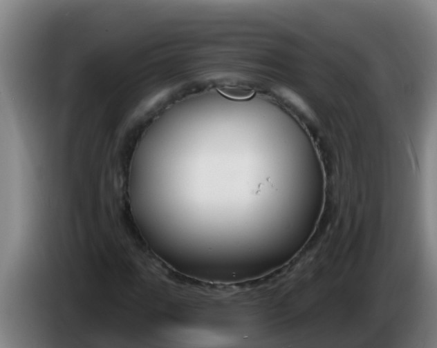 X0000086301111200704201937