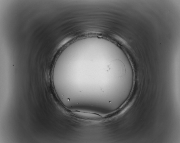 X0000086301113200704201937