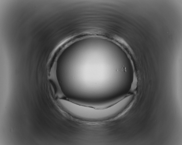 X0000086301114200704201937