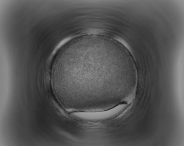 X0000086301115200704201937