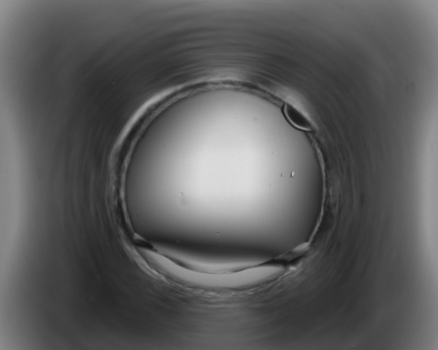 X0000086301116200704201937