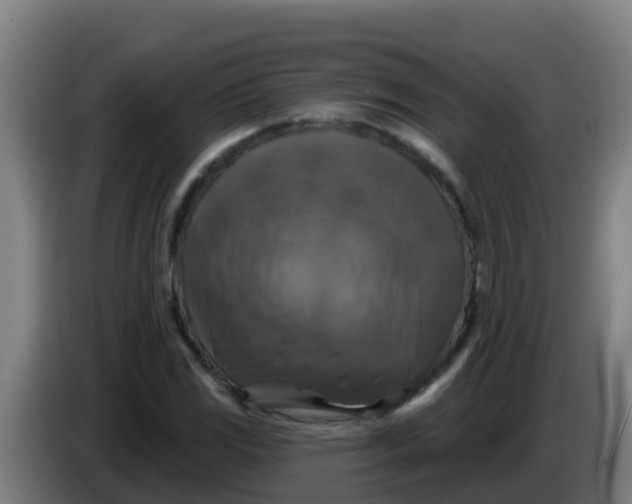 X0000086301117200704201937