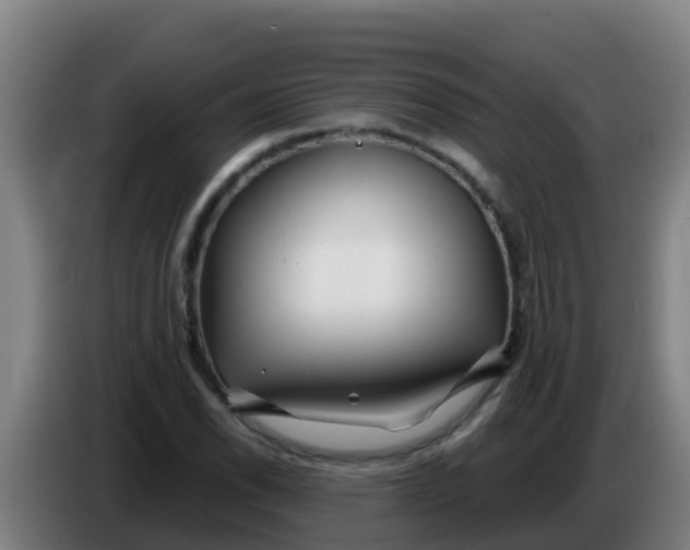 X0000086301118200704201937