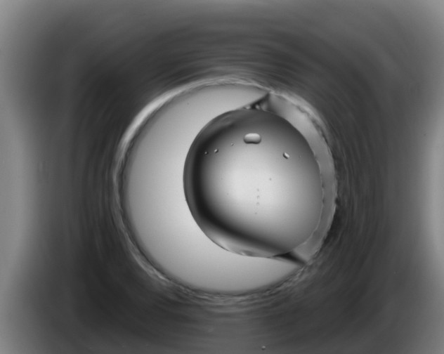 X0000086301120200704201937