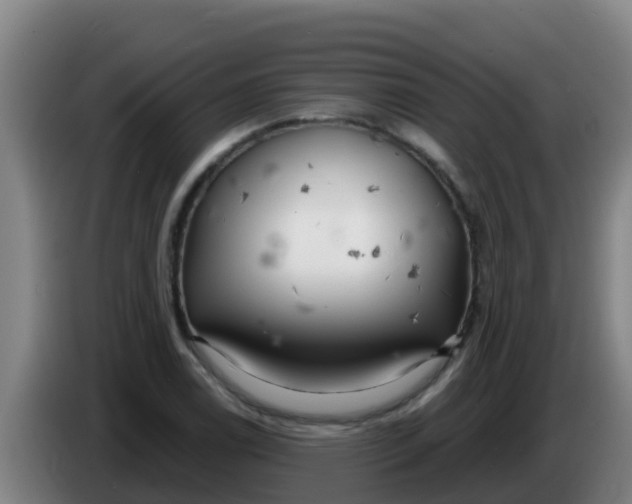 X0000086301122200704201937