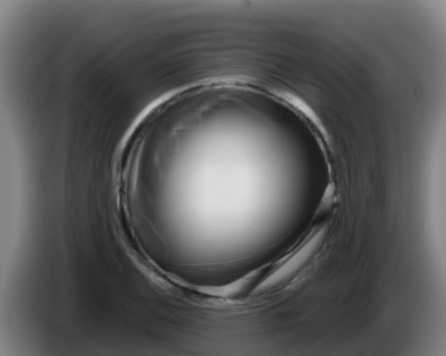 X0000086301124200704201937