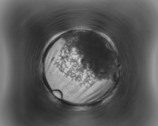 X0000086301125200704201937