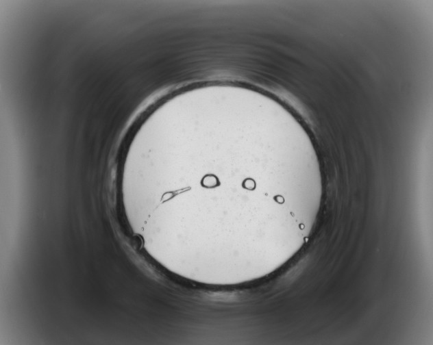 X0000086301126200704201937