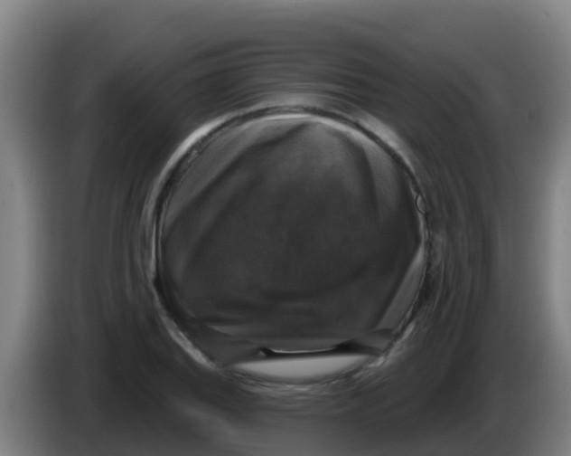 X0000086301127200704201937