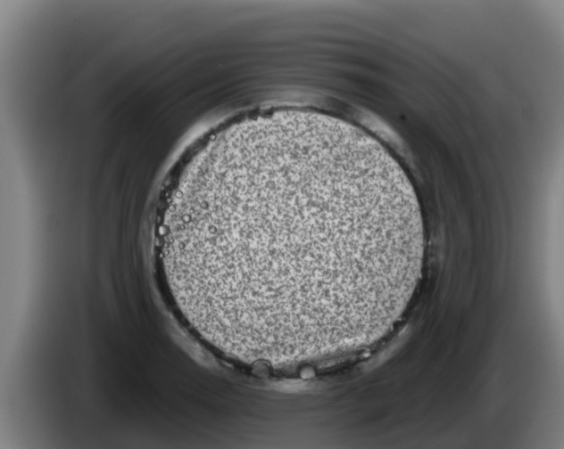 X0000086301130200704201937