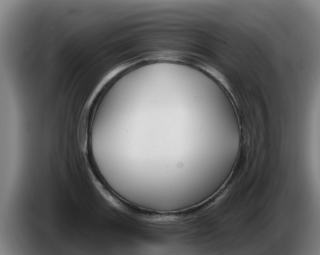 X0000086301131200704201937