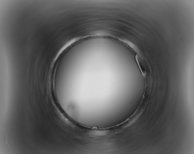 X0000086301134200704201937