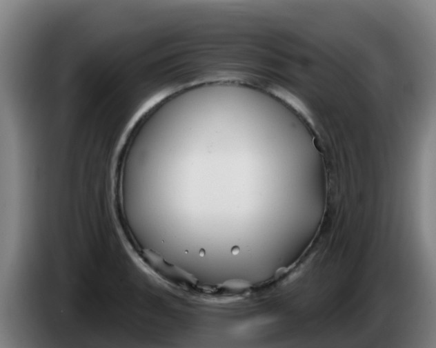 X0000086301135200704201937