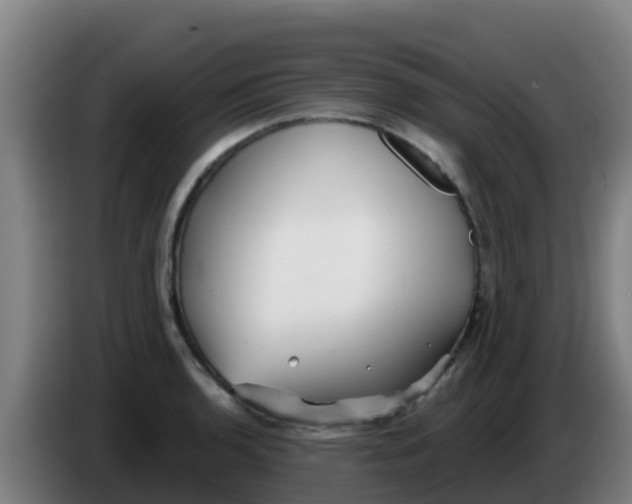 X0000086301136200704201937