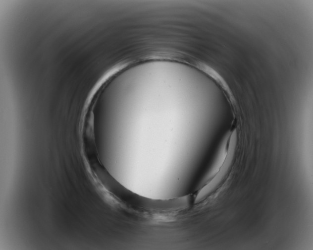 X0000086301138200704201937