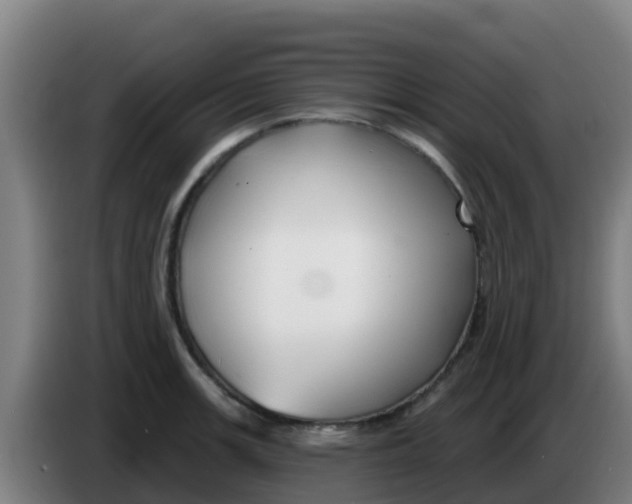 X0000086301139200704201937