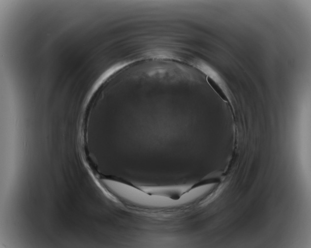 X0000086301141200704201937