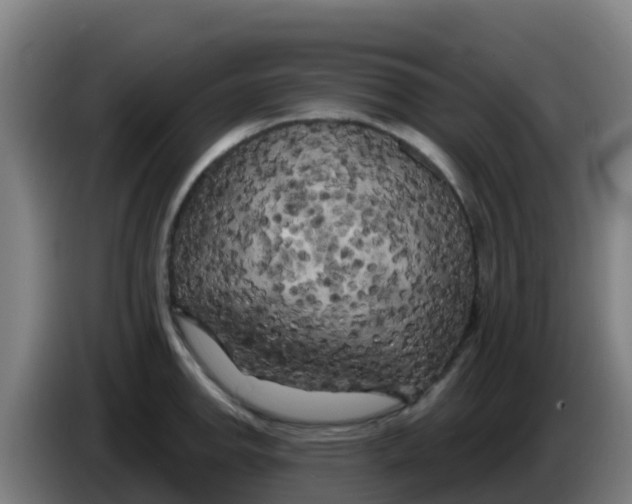 X0000086301142200704201937