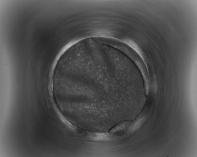 X0000086301144200704201937