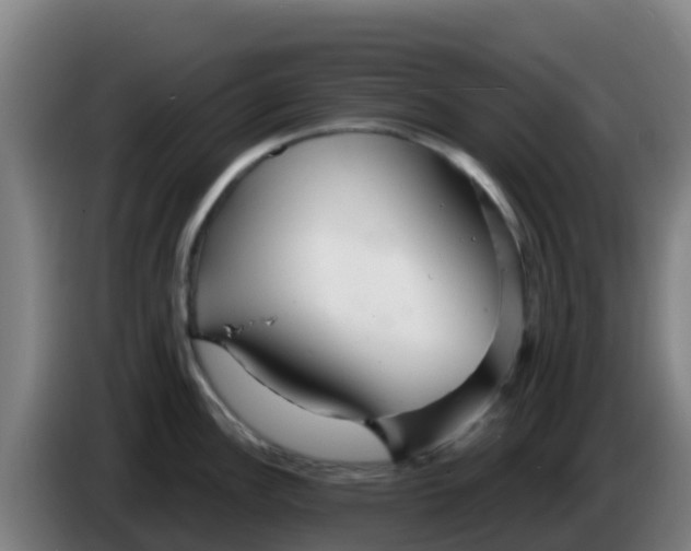 X0000086301148200704201937