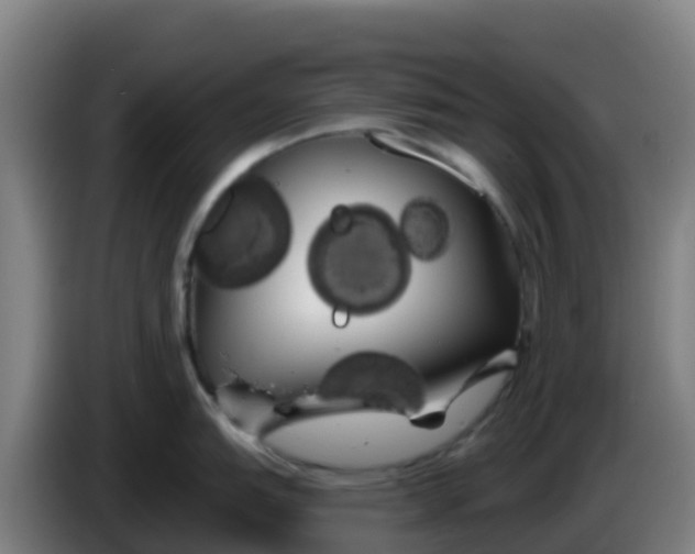 X0000086301151200704201937