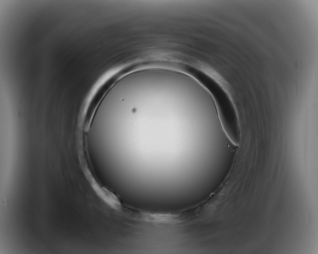 X0000086301152200704201937