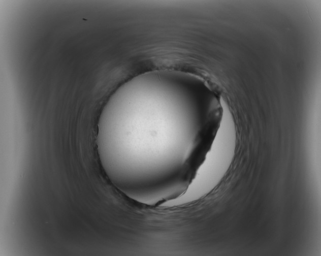 X0000086301153200704201937