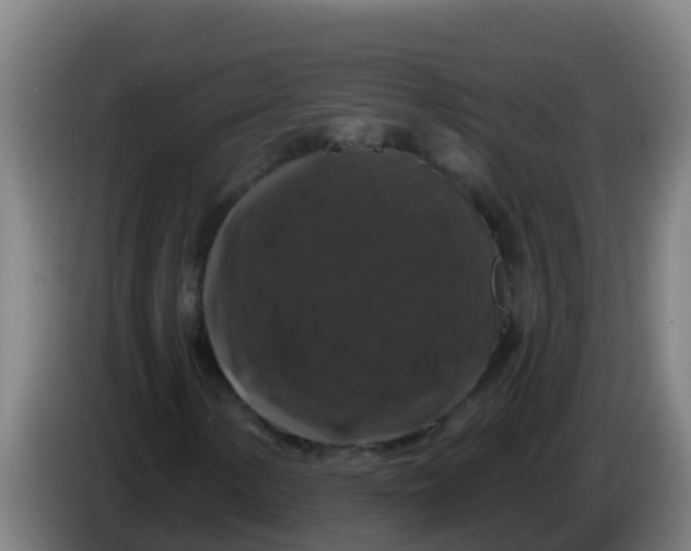 X0000086301154200704201937