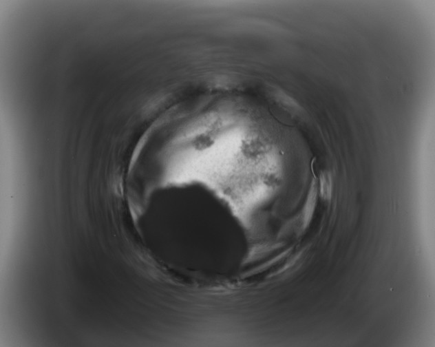 X0000086301155200704201937